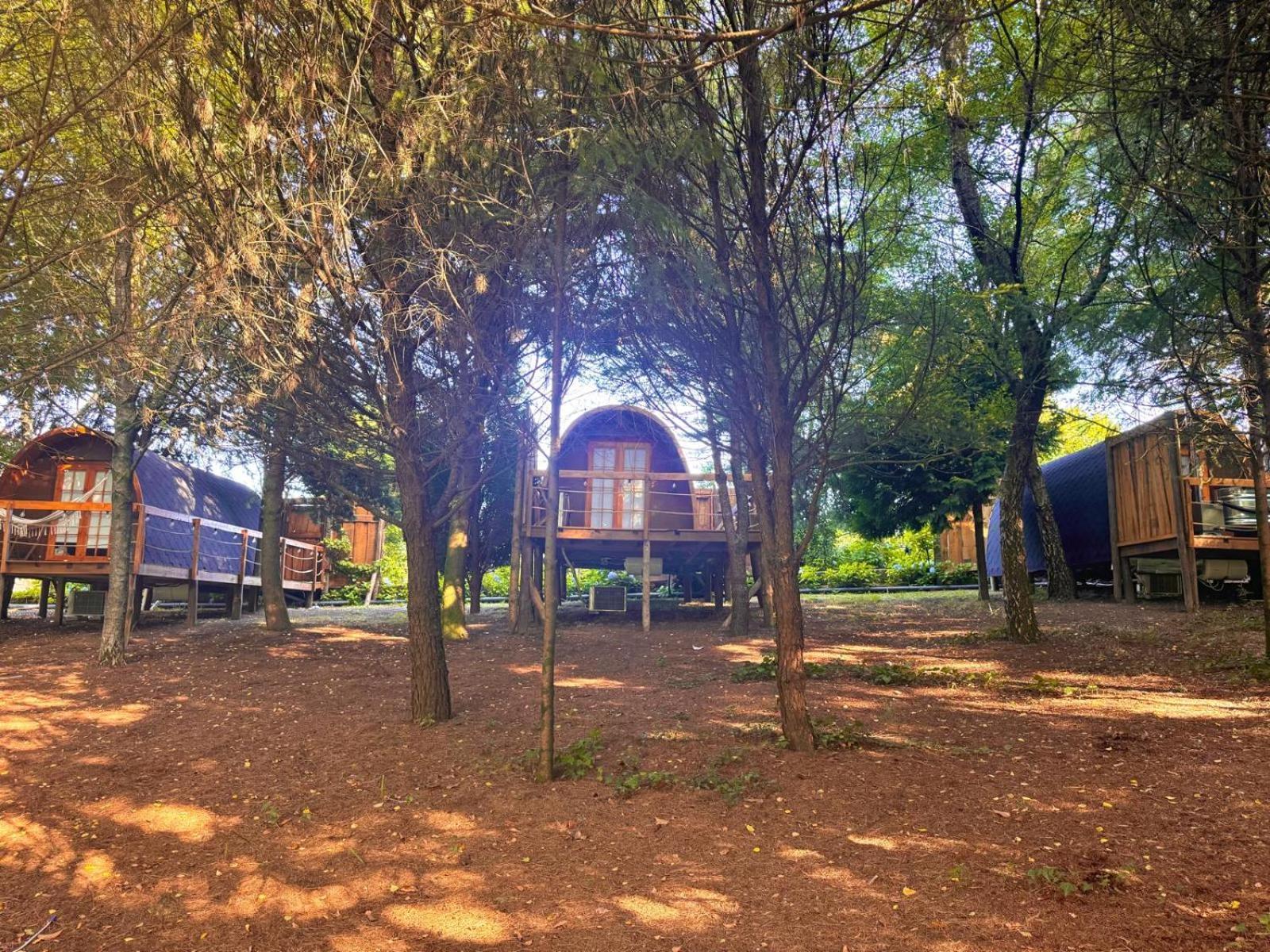 Glicinia Boutique Hotel Freamunde المظهر الخارجي الصورة
