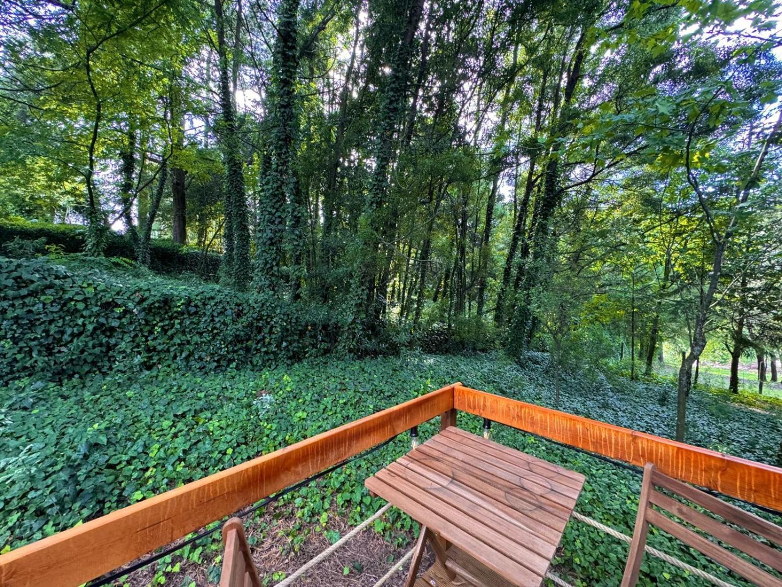 Glicinia Boutique Hotel Freamunde المظهر الخارجي الصورة