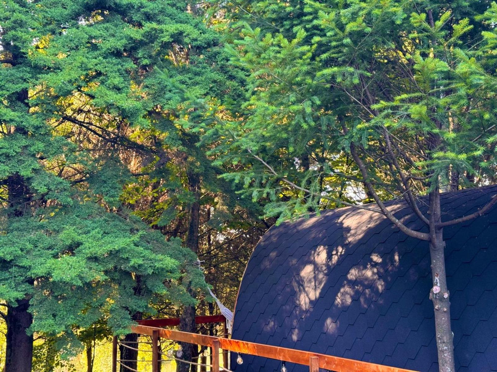 Glicinia Boutique Hotel Freamunde المظهر الخارجي الصورة